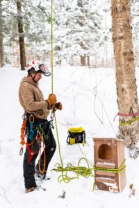 Jacer Arboriculture photo 1